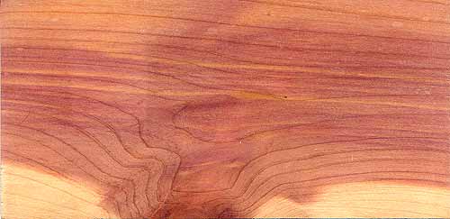 aromatic_cedar-1.jpg