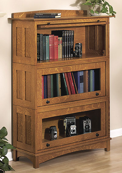 barristerbookcase.jpg