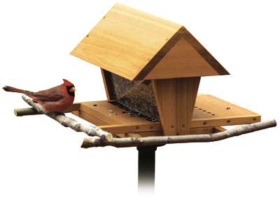 birdfeeder.jpg