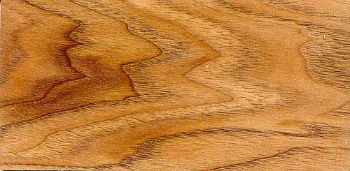 butternut-1.jpg