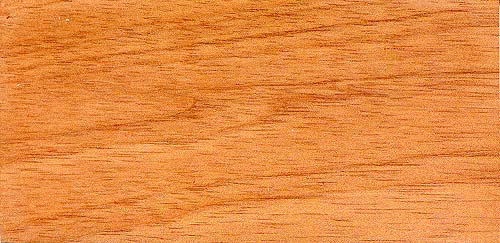 spanish_cedar-1.jpg